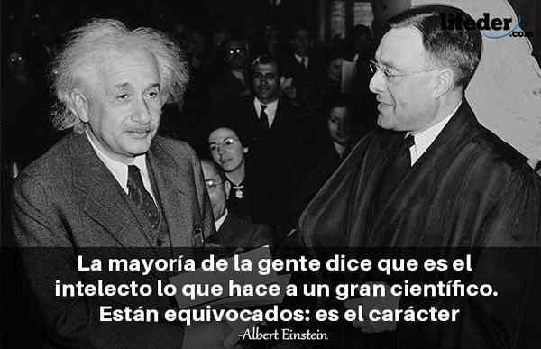 As 200 melhores frases de Albert Einstein [com imagens]